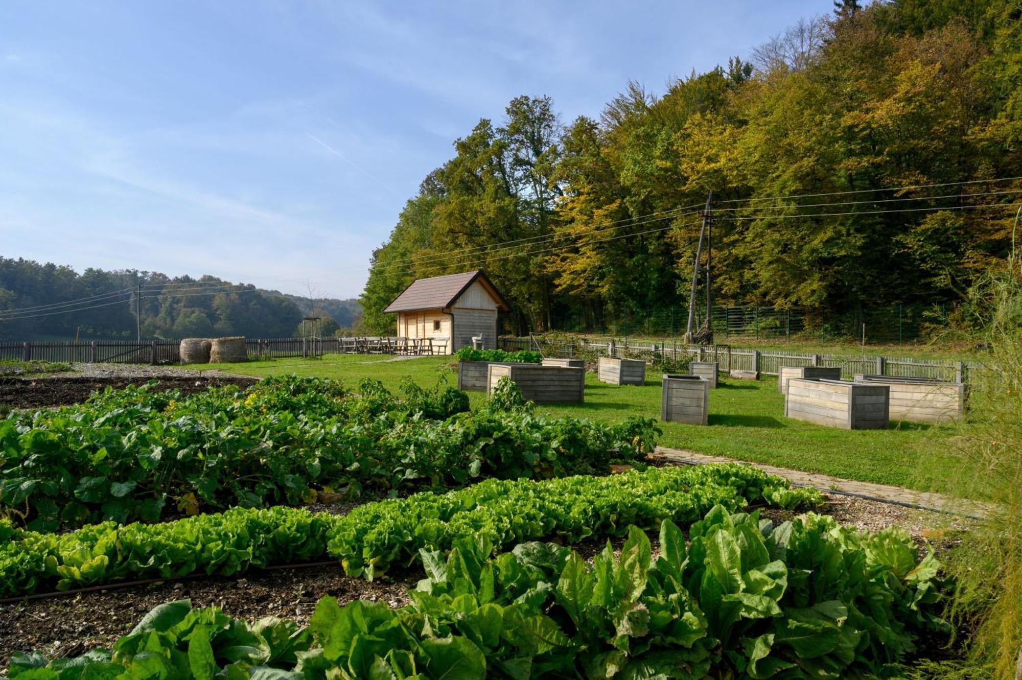 Hotel Grad Otocec - Relais Chateaux Exteriér fotografie